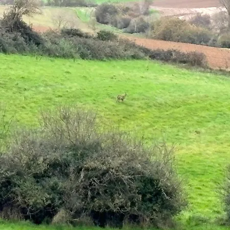 La Vallee Des Biches G1 Nyaraló *
